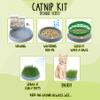 R&R SHOP - Double Seeds Catnip Set view 4