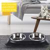 Elevated Angled Non-Slip Stainless Steel Pet Bowl for Small Cats and Dogs view 4