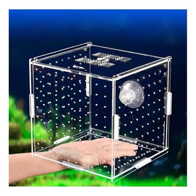 NA Aquarium Isolation Box for Small Fish and Shrimp, Transparent Acrylic, Single Grid, 10 × 10 × 10 cm