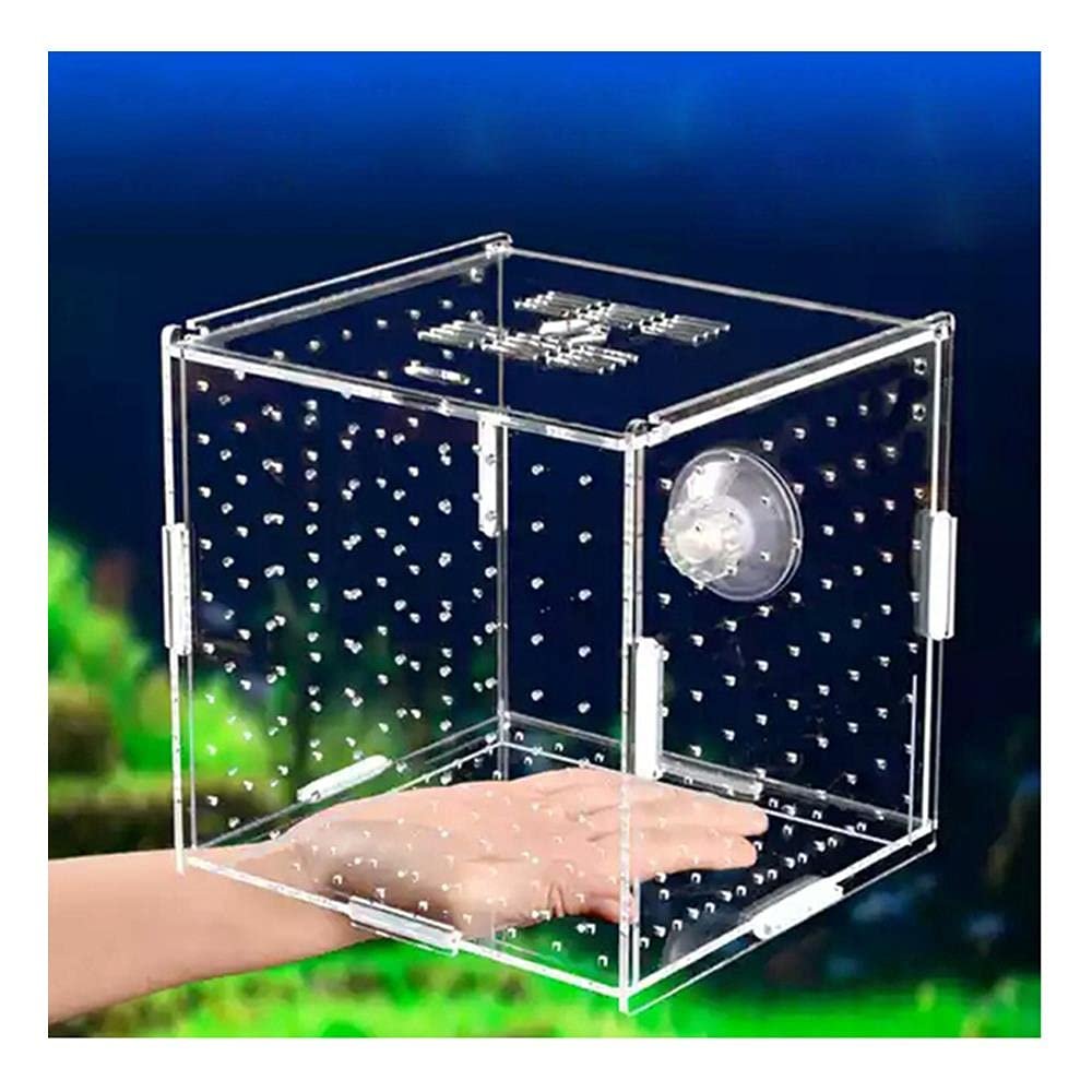 NA Aquarium Isolation Box for Small Fish and Shrimp, Transparent Acrylic, Single Grid, 10 × 10 × 10 cm