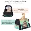Soft Flamingo Pet Carrier for Cats and Dogs, Foldable and Airline-Approved view 3