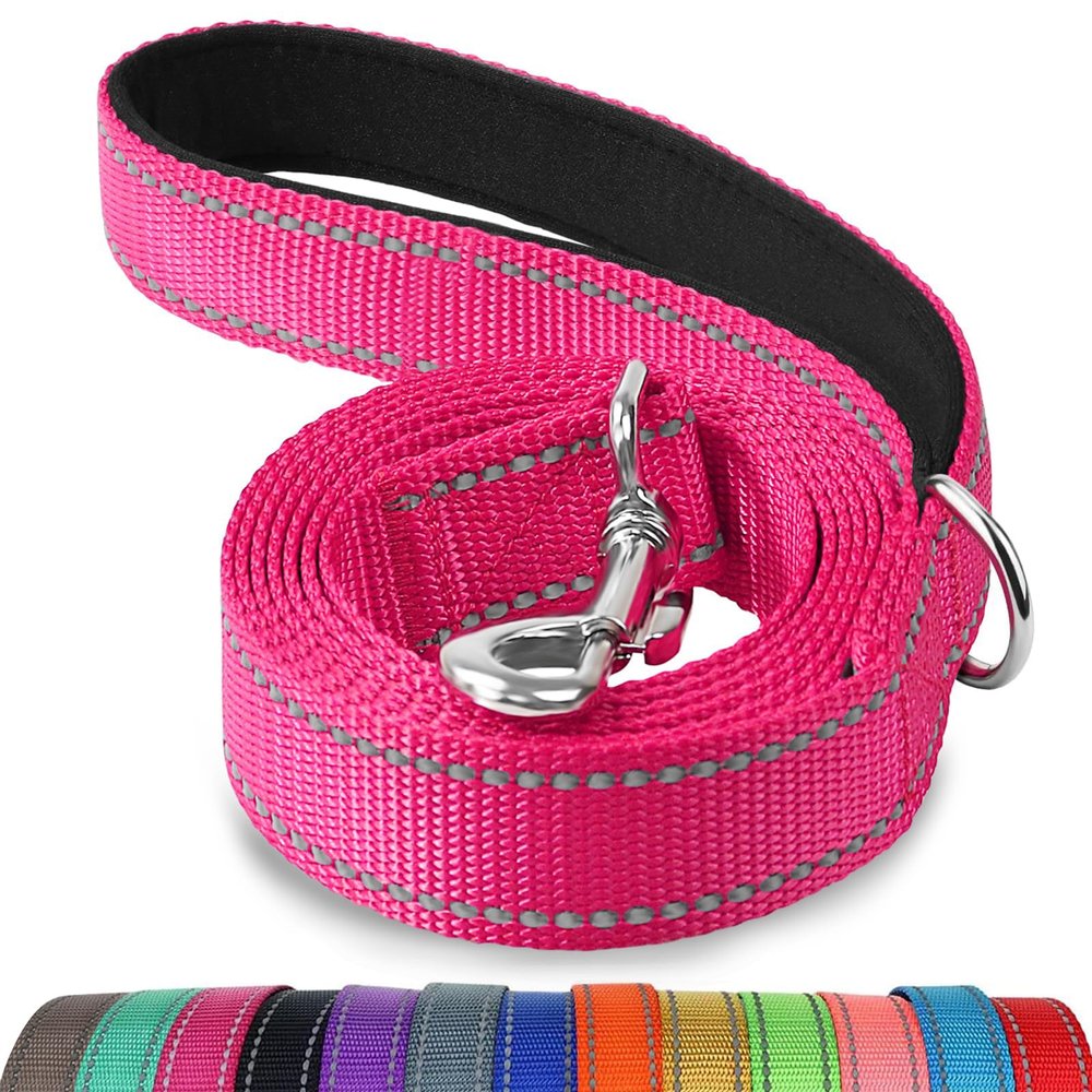 Joytale Reflective Dog Leash for Large and Medium Dogs, Hot Pink