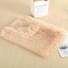 Good Luck Fluffy Plush Pet Blanket, Extra-Soft Warm Mat view 1