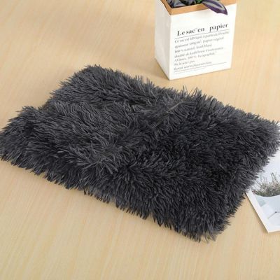 Good Luck Plush Dog Blanket, Extra-Soft Warm Pet Mat