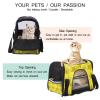 Portable Pet Travel Carrier, Airline-Approved Soft-Sided Duffle Bag with Star Pattern view 3