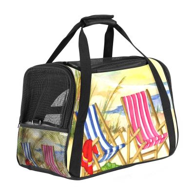 Soft, Foldable Pet Carrier for Cats and Dogs