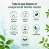 Natura Siberica Natural Siberian “Kamchatkan Mineral” Toothpaste, 100 g view 4