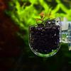 Fournyaa Aquarium Feeder with Suction Cup view 2
