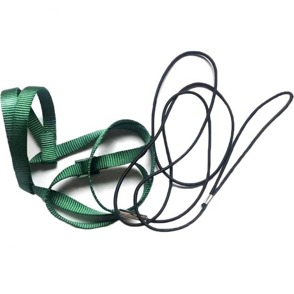 PiniceCore Adjustable Parrot Harness and Leash