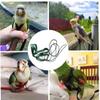 PiniceCore Adjustable Parrot Harness and Leash view 2