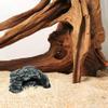 DQITJ Reptile Hide Cave, Brown Resin view 2