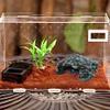 DQITJ Reptile Hide Cave, Brown Resin view 3