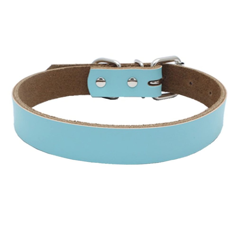 MARMODAY Dog Collar