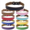 MARMODAY Dog Collar view 2