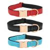 MARMODAY Dog Collar view 2