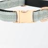 MARMODAY Dog Collar view 4