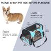 Pet Carrier Bag with Skull Pattern, Soft-Sided, Foldable, Airline-Approved view 2