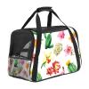 Cactus Soft Pet Carrier for Cats and Dogs, Foldable and Airline-Approved view 1
