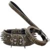 haoyueer Dog Collar and Leash, Leather, 5.1 cm Wide view 1