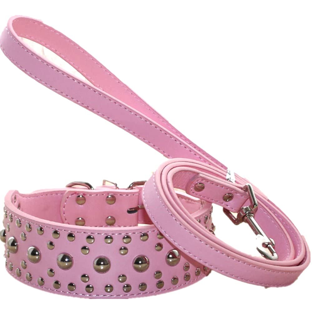haoyueer Dog Collar with Studs