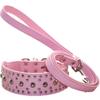 haoyueer Dog Collar with Studs view 1