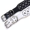 haoyueer Dog Collar with Studs view 4