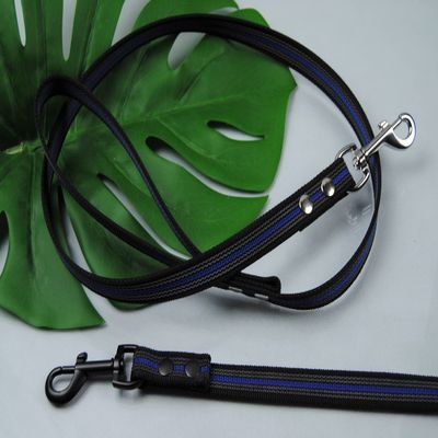 Rubberized Leash 1m with Loop Blue, Silver Carabiner, Training Leash, Short Leash