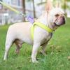 Dog Harness with Leash, Adjustable Heavy-Duty No-Pull Harness with Strong Handle, Brown/Blue, S view 3