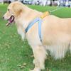 Dog Harness with Leash, Adjustable Heavy-Duty No-Pull Harness with Strong Handle, Brown/Blue, S view 4