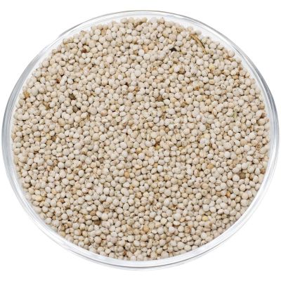 Leimüller White Shiso Seeds 25 kg Bird Food