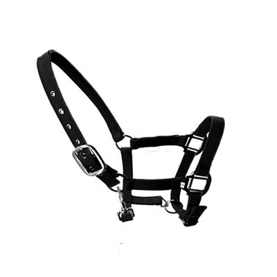tooloflife Adjustable Padded Nylon Halter with Horse Print for Foals, Ponies and Donkeys, Black