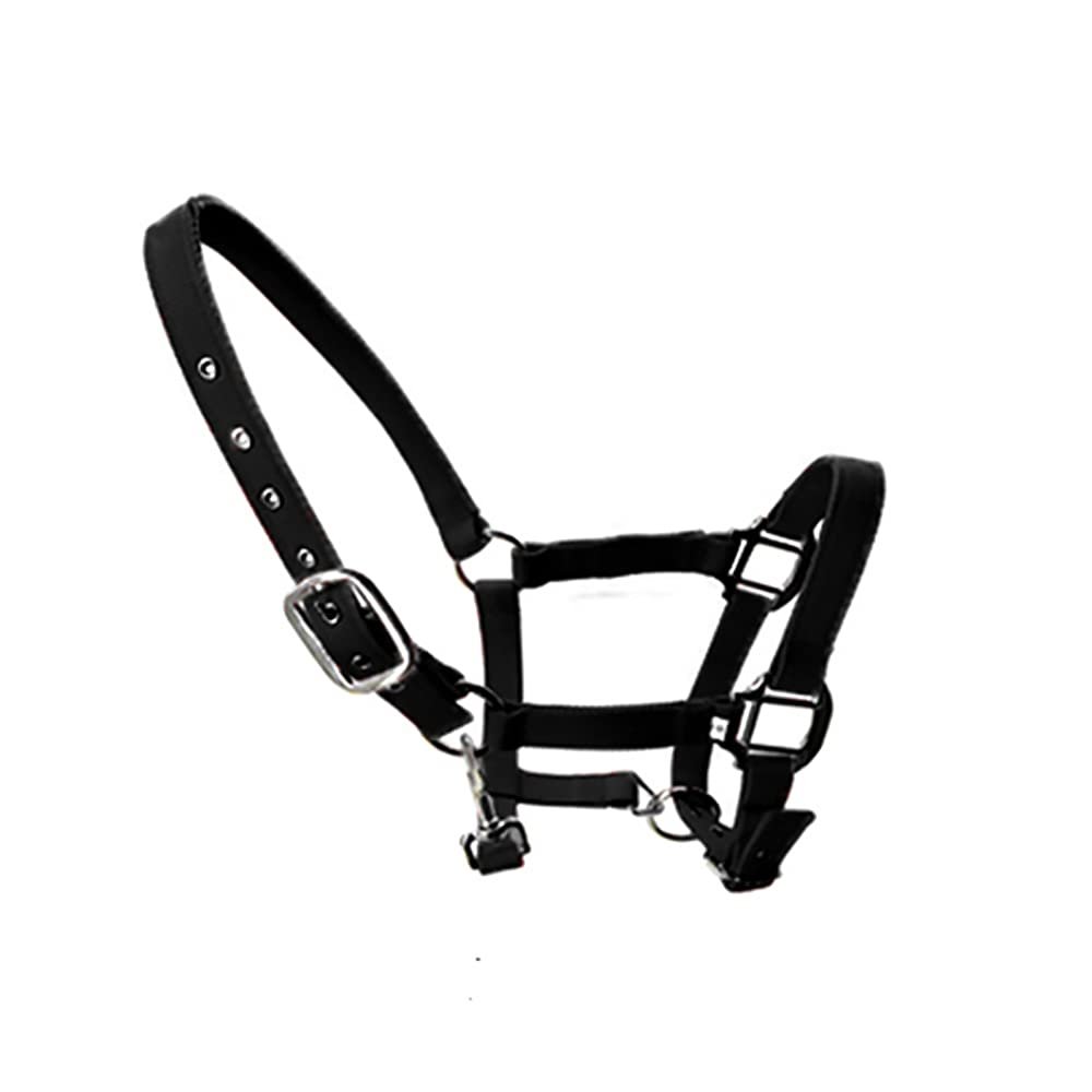 tooloflife Adjustable Padded Nylon Halter with Horse Print for Foals, Ponies and Donkeys, Black