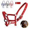 tooloflife Adjustable Padded Nylon Halter with Horse Print for Foals, Ponies and Donkeys, Black view 3
