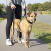 Training Leash with Two Handles, Polyester, 60 to 190 cm, Black view 3