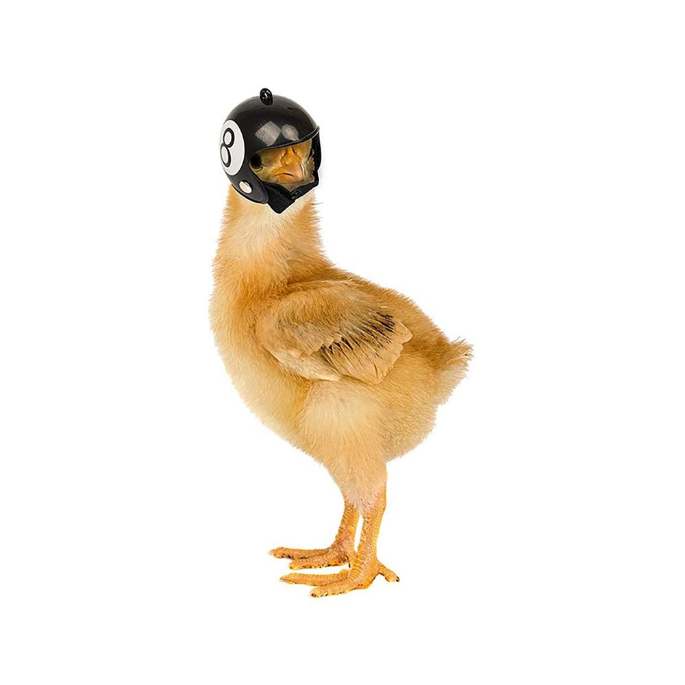 Chicken Helmet