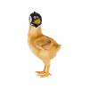 Chicken Helmet view 1