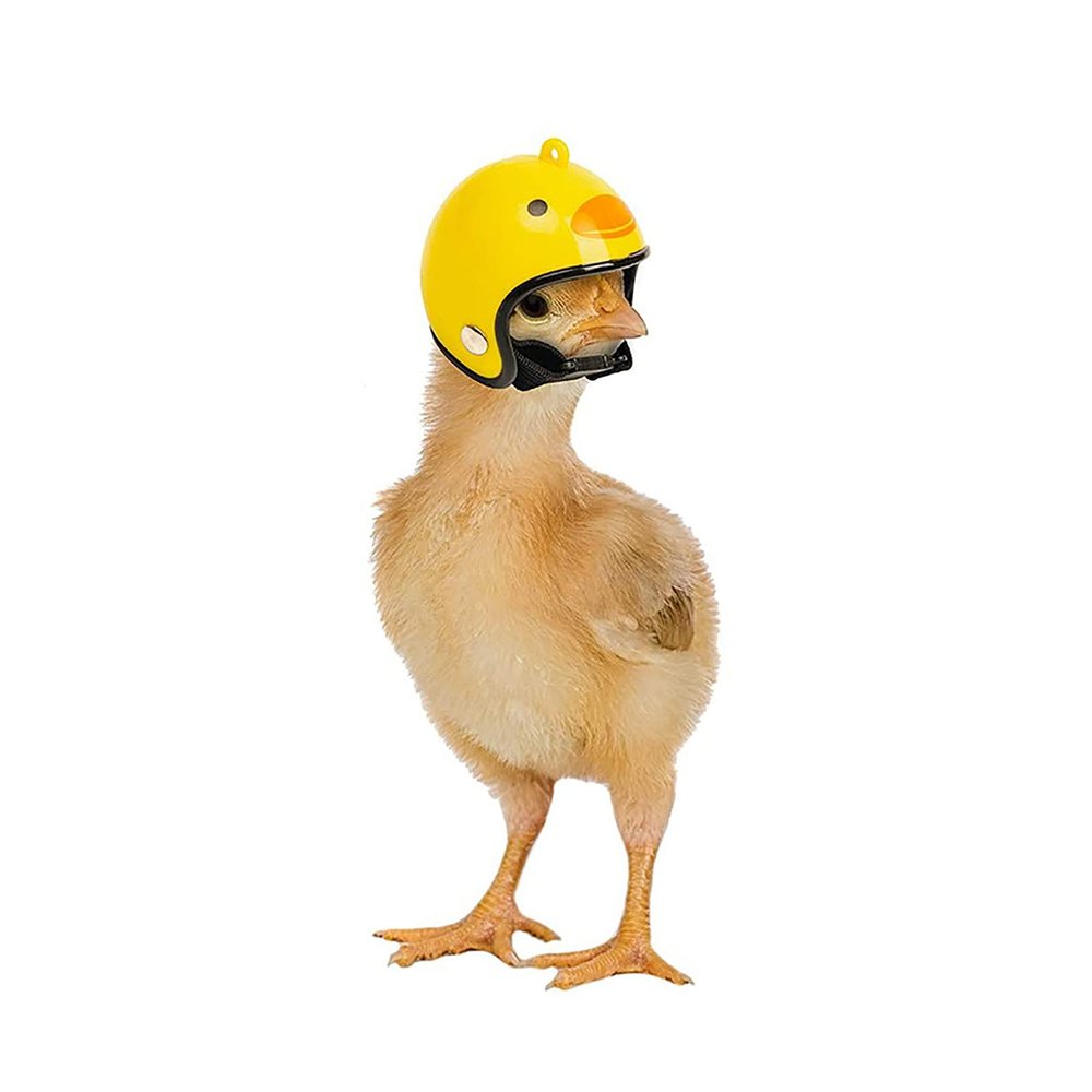 Chicken Helmet - Funny Pet Safety Helmet