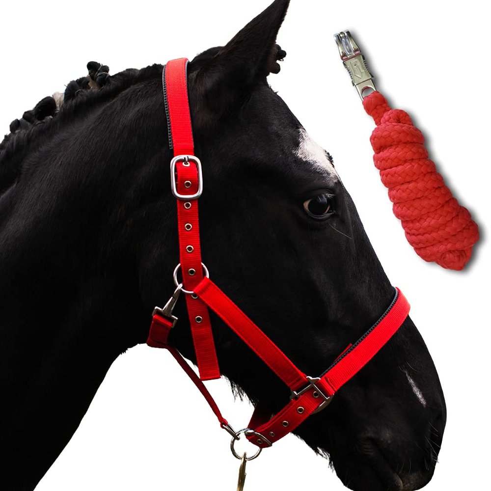 Horse Halter with Lead Rope | Pony, Cob, Full, X-Full (Red, Draft Horse)