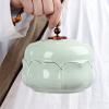 Ceramic Pet Cremation Urn view 2