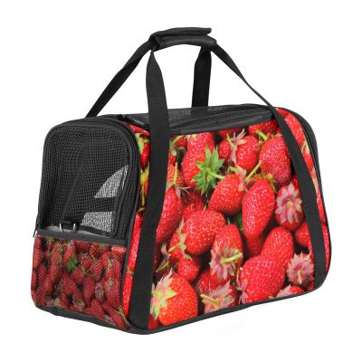 Pet Carrier for Cats, Dogs, and Puppies, Soft-Sided, Portable, Foldable, Airline-Approved