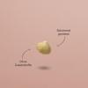 Alucra Roasted Hazelnut Kernels, 1 kg – Famous Giresun Hazelnuts from Turkey, Shelled & Blanched view 4