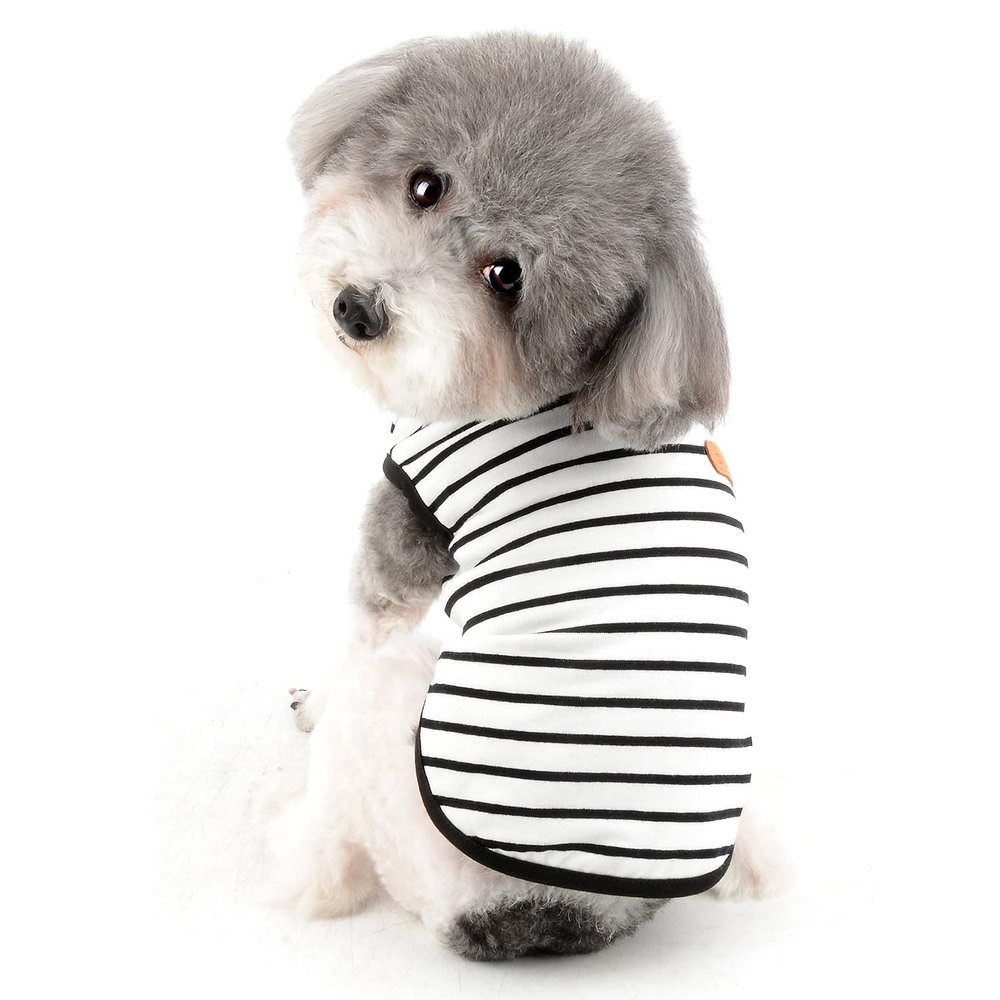 Ranphy Sleeveless T-Shirt for Small Dogs