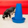 PIPPI Dog Toilet Cone for Male Dogs, Blue, 28 x 36 cm, 2-Pack view 3