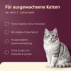 animonda Vom Feinsten Adult Mild Menu Turkey + Cheese, 32 x 100 g view 4