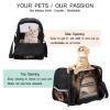 Pet Carrier Bag with African Lion Design, Soft, Foldable, Airline Approved view 3