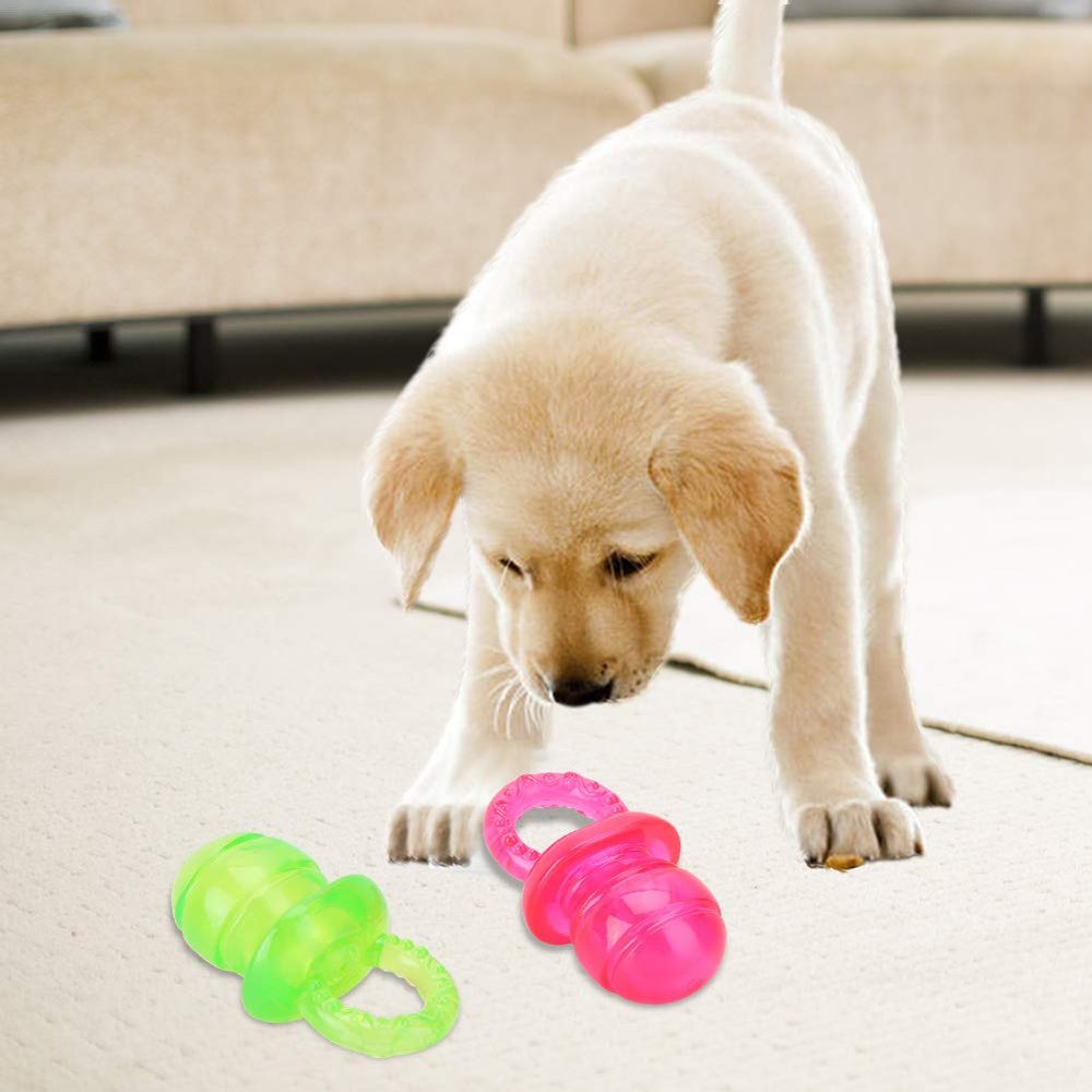Dog Pacifier Chew Toy