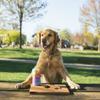ZippyPaws Squeaky Can - Le Chien view 3