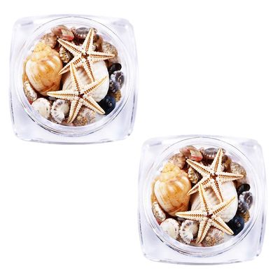 Bontannd 2 Boxes 3D Natural Nail Art Decorations, Mini Shells and Starfish, DIY