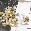 Bontannd 2 Boxes 3D Natural Nail Art Decorations, Mini Shells and Starfish, DIY view 2