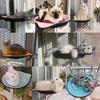 LIOYUHGTFY Cat Window Hammock with Suction Cups, Orange view 3
